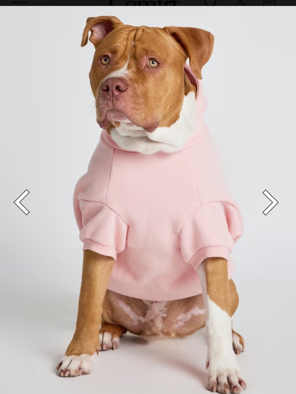 Comfrt Bubblegum Dog Hoodie